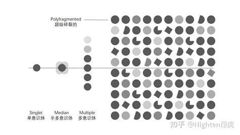 新影中視怎麼樣？從多方面探討其價值與影響